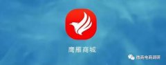 从国之源到鹰雁商城，低调起盘下的虚假宣传乱象正愈演愈烈？