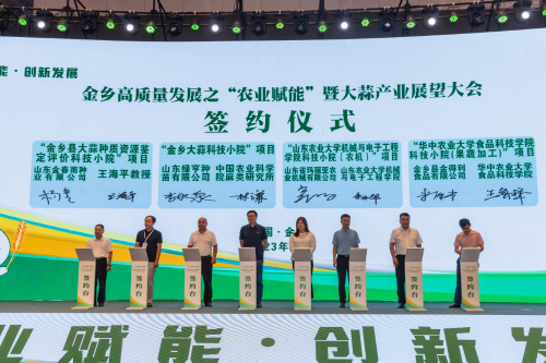 山东省科学技术厅 地方科技 从大蒜出发，看金乡农业如何赋能高质量发展