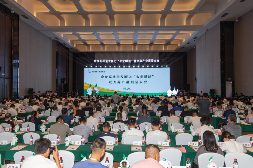 山东省科学技术厅 地方科技 从大蒜出发，看金乡农业如何赋能高质量发展