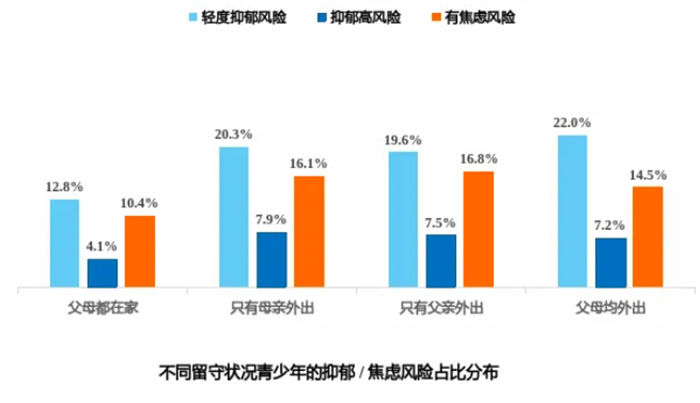 2024年青少年心理健康与学业状况调查报告